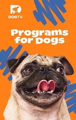 DOGTV.