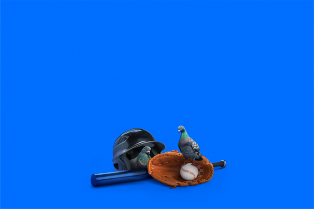 Sports baseball gear showing helmet, bat, ball and glove.